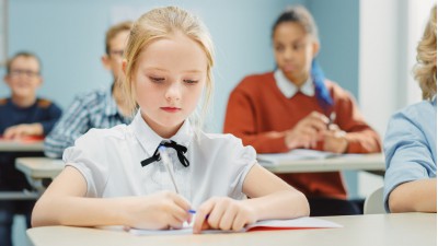 GCSE Exam Preparation photo